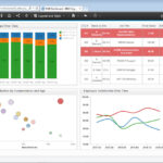 descubre como ibm cognos software transforma la toma de decisiones empresariales