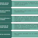 ejemplos de situaciones cotidianas y su analisis en el contexto social y emocional