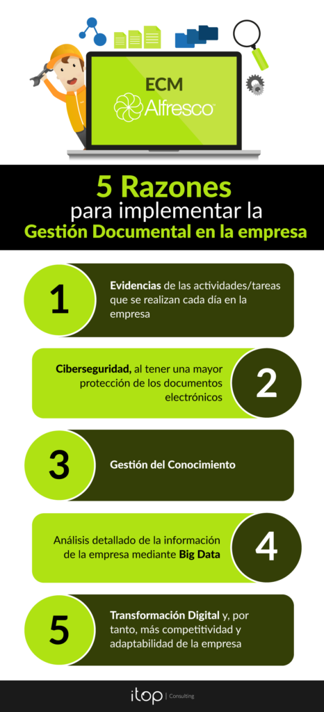 la importancia de la vista de documentos en la gestion de informacion digital