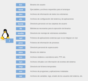 Todo lo que Necesitas Saber Sobre el Directorio usr en Sistemas Linux