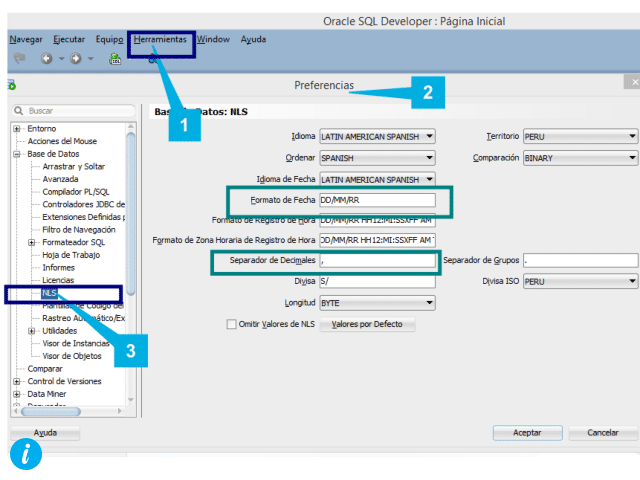 todo lo que necesitas saber sobre el formato de fecha en programacion y su aplicacion