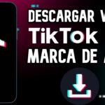 Cómo descargar TikTok sin marca de agua y disfrutar del contenido