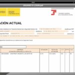 Cómo verificar si estás de alta en la Seguridad Social en España
