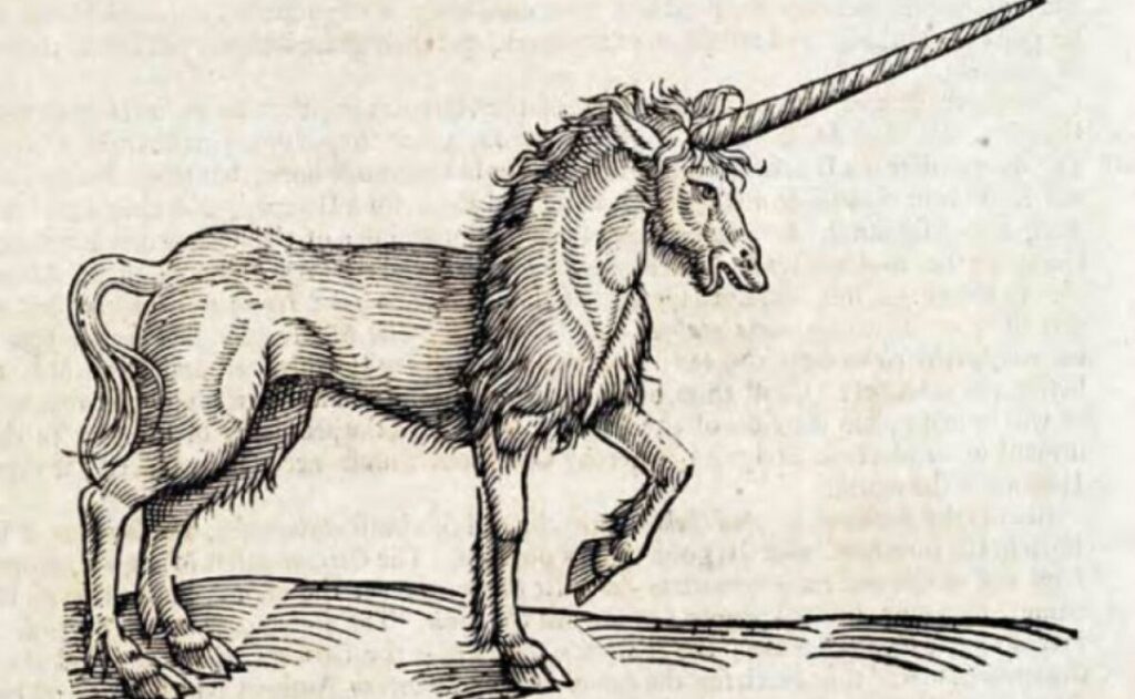 descubre la magia de los unicornios reales en la actualidad