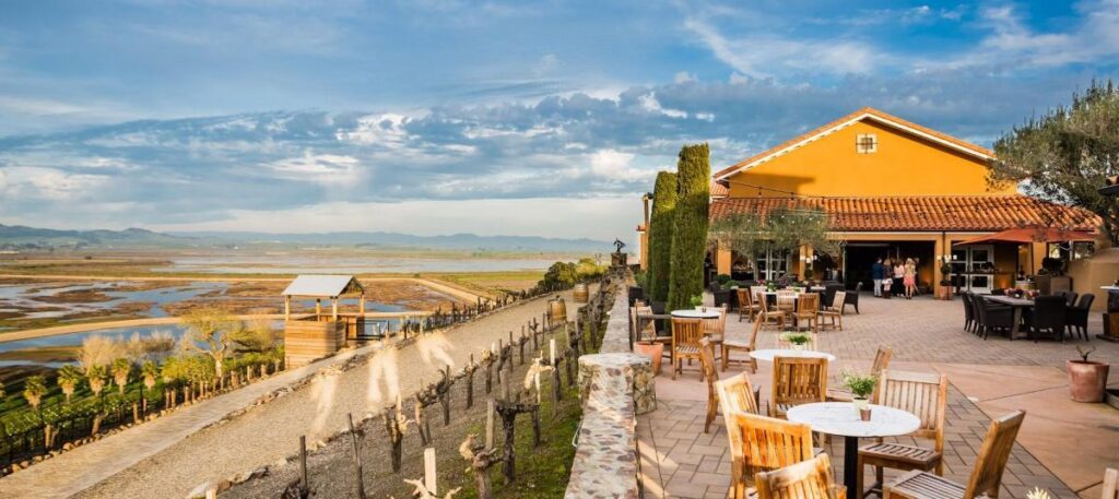 descubre sonoma un destino ideal para el turismo y la gastronomia