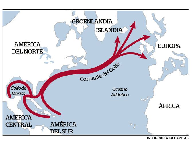 la corriente del golfo y su impacto en el clima global y la ecologia