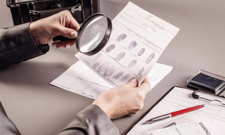 las salidas profesionales de la criminologia y su impacto en la sociedad