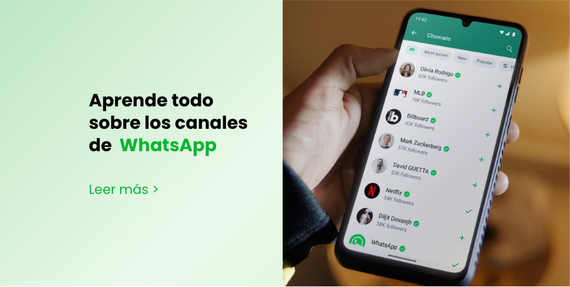 todo lo que necesitas saber sobre imagen whatsapp y su uso