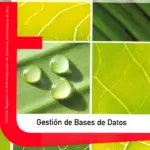 Conociendo las bases de datos con Ivan López Montalbán