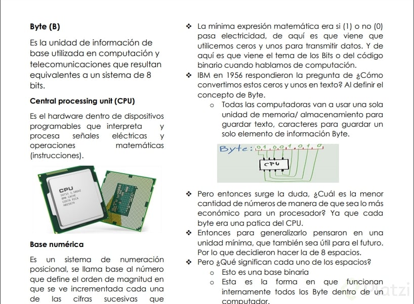 por que la computadora maneja 8 bits de datos