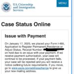 Mi Factura de R: Pago y Consulta Online