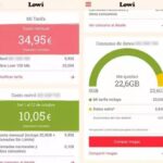 Portabilidad Lowi: Guía rápida, tarifas y tiempo