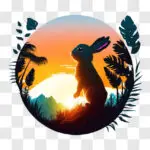 Descubre Dónde Ver la Película Conejo en la Luna Online Gratis de Forma Segura