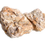 El fascinante mundo del vómito de ballena y sus características